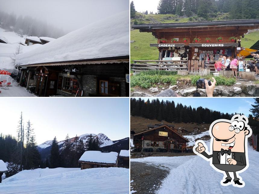 La Ferme